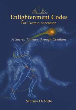frontcover_EnlightenmentCodes