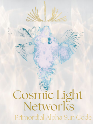 Spiritual program and course for embodiment of Enlightenment Self Realisation Divine Human Cosmic consciousness Ascension