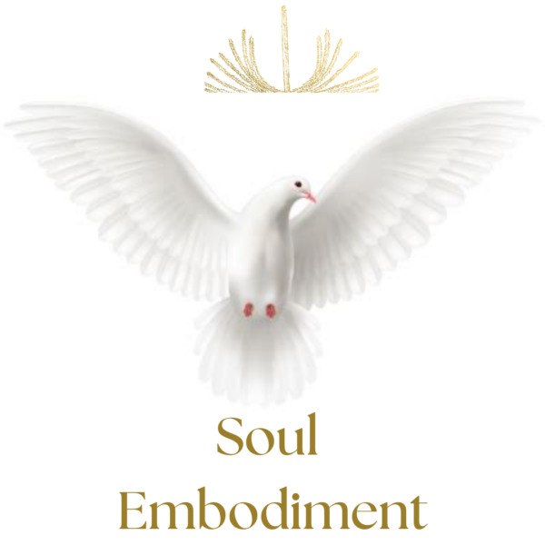 Enlightenment Soul Embodiment session for the Preparation to embody your divinity Enlightenment Self Realisation Trajectory